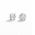Aretes Punto de Luz - Plata 925