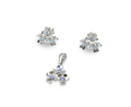 Set Flores De Invierno - Plata 950